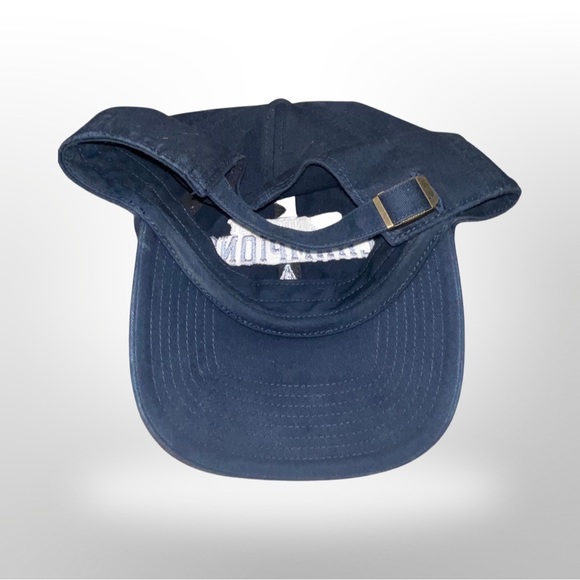 Dallas Cowboys Vintage NFC East Champions Adjustable hat by 47: OSFM: Tony Romo - Picture 3 of 4